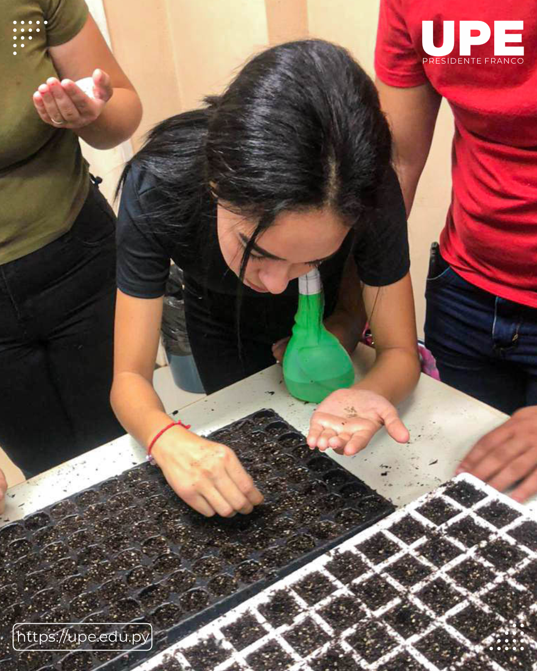 Práctica Agronómica: Sustrato y Siembra en Bandejas de Germinación